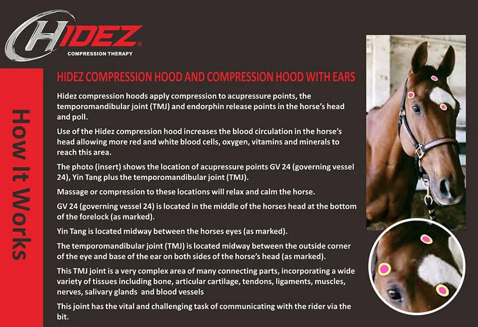 Hidez Compression Hood With Zipper NO ears