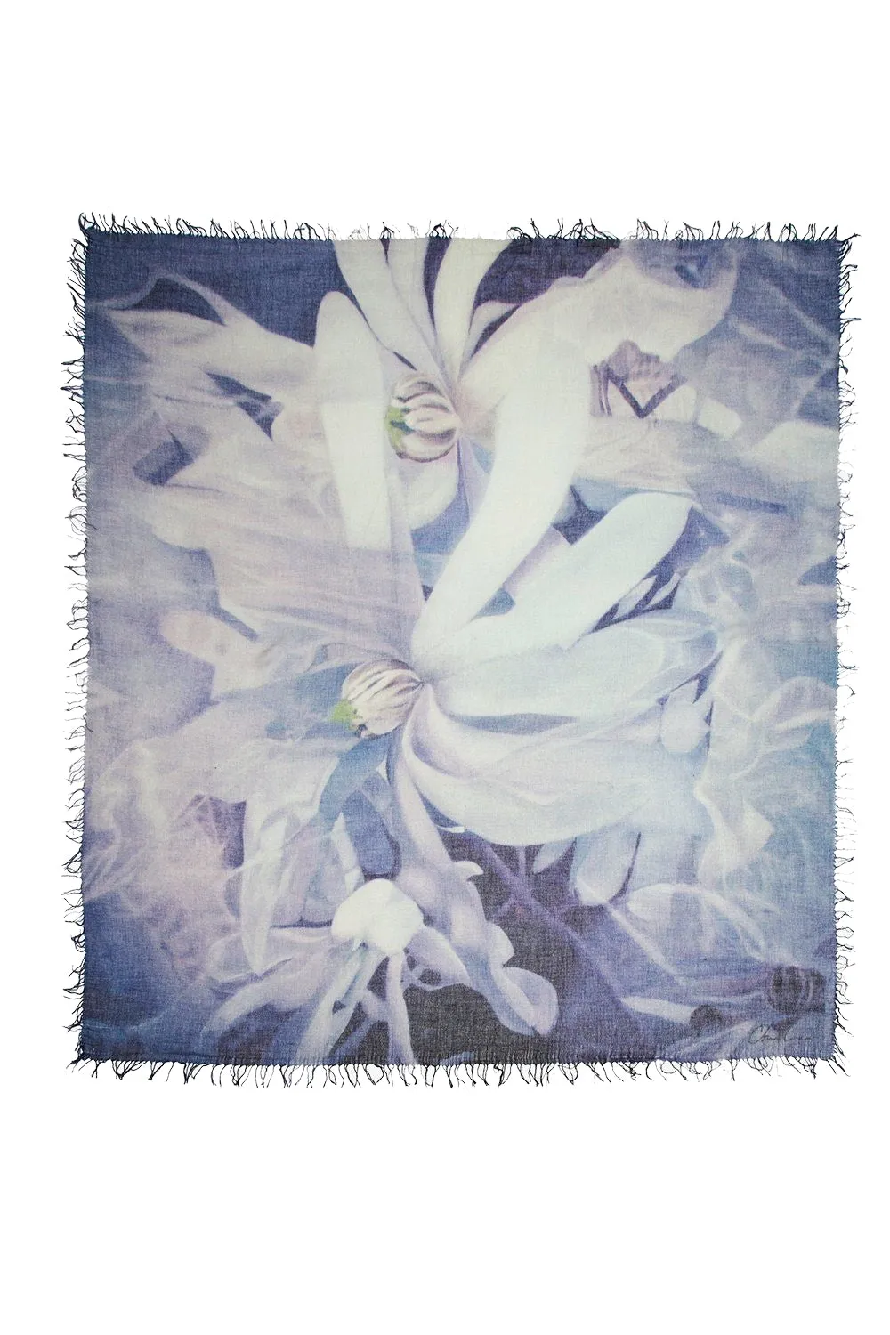 "Artist Series" Cashmere & Silk Scarf